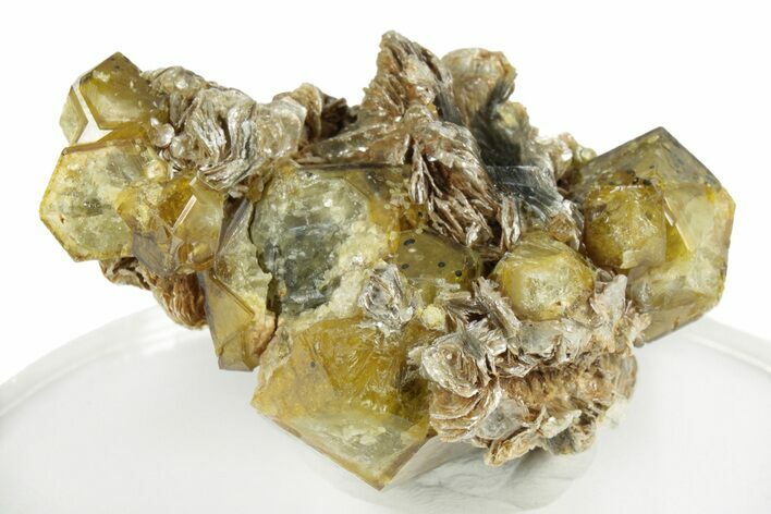 Yellow Andradite-Grossular Garnet Cluster with Clinochlore - Mali #245216